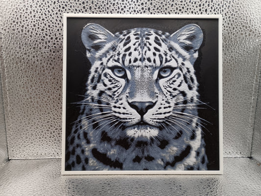 Amur Leopard - HueForge