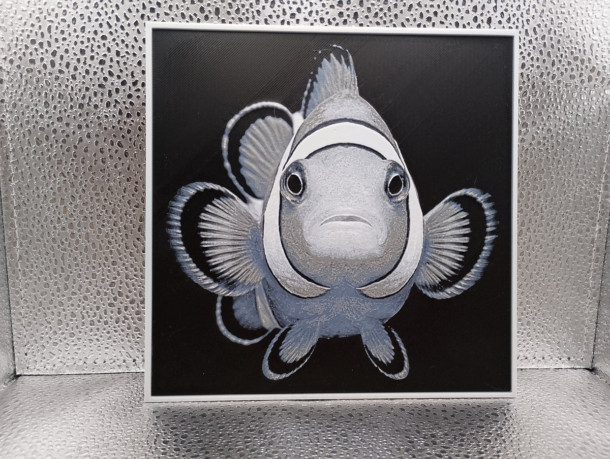 Clownfish – Hueforge