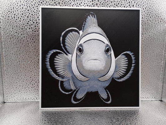 Clownfish – Hueforge