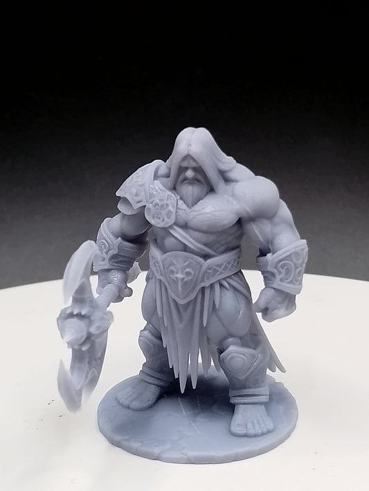 Dungeons & Dragons Mighty Warrior Miniature