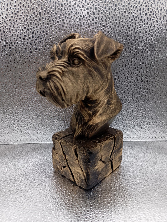 Affenpinscher Bust