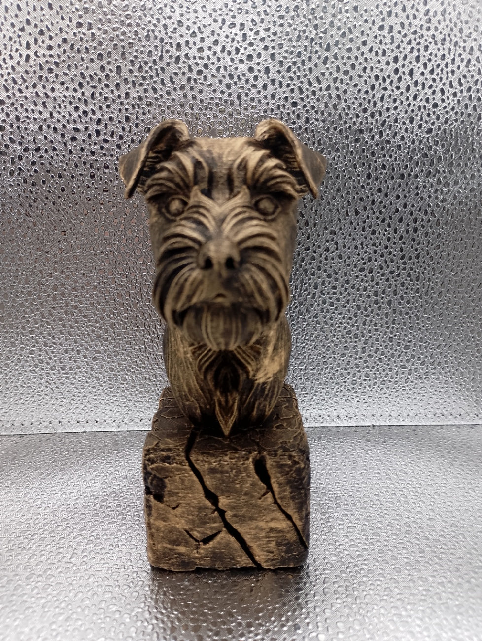 Affenpinscher Bust