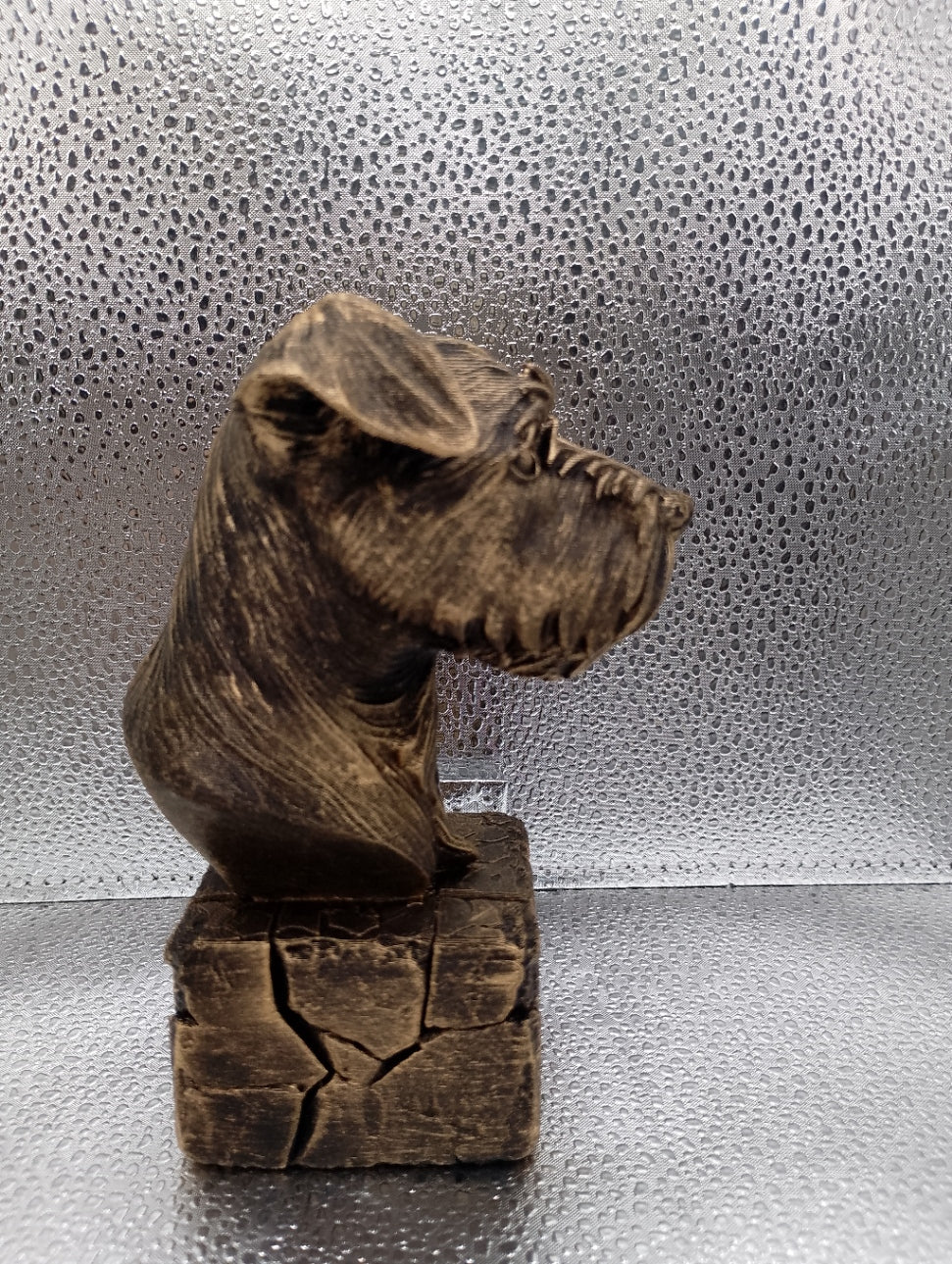 Affenpinscher Bust