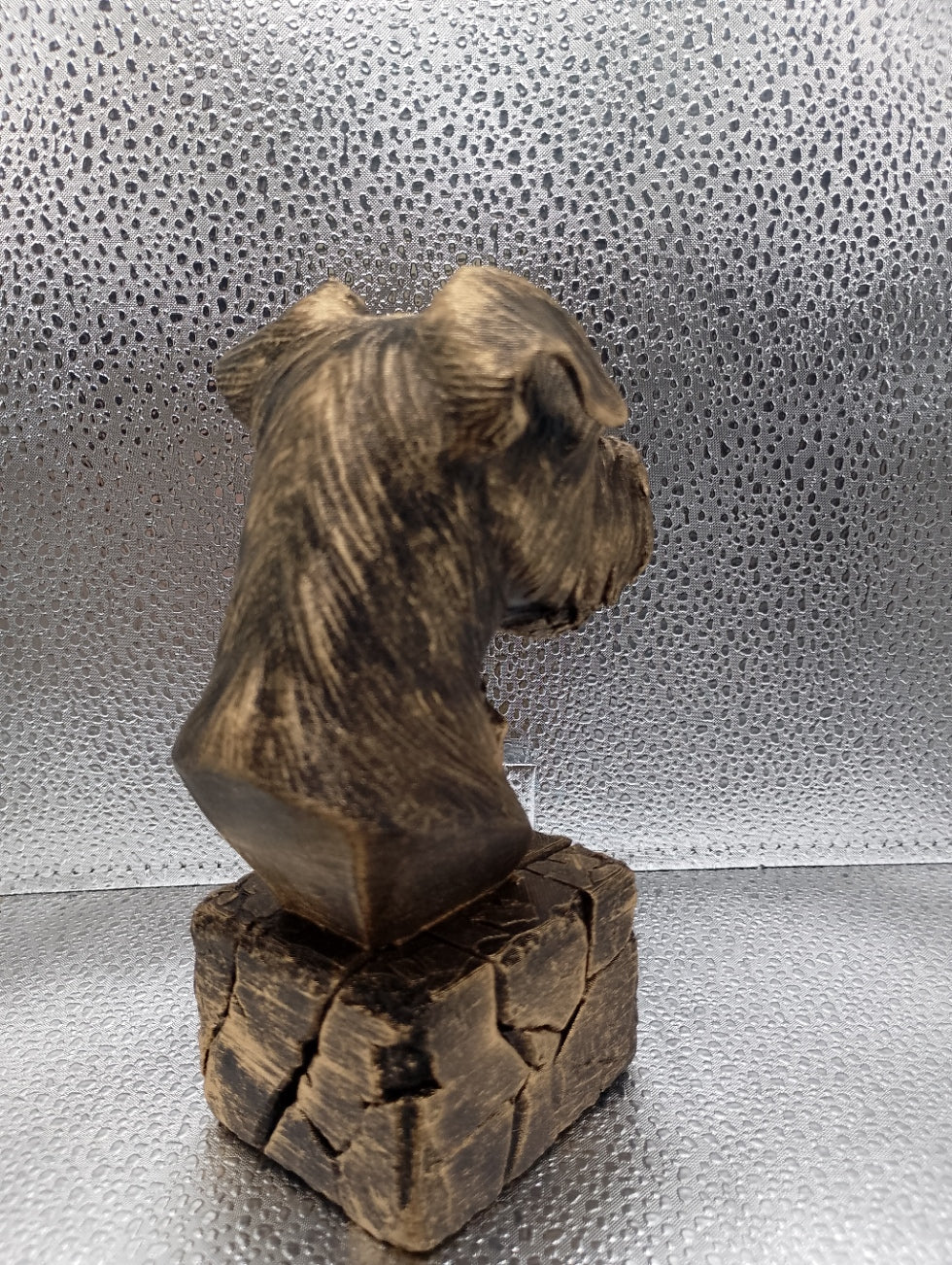 Affenpinscher Bust