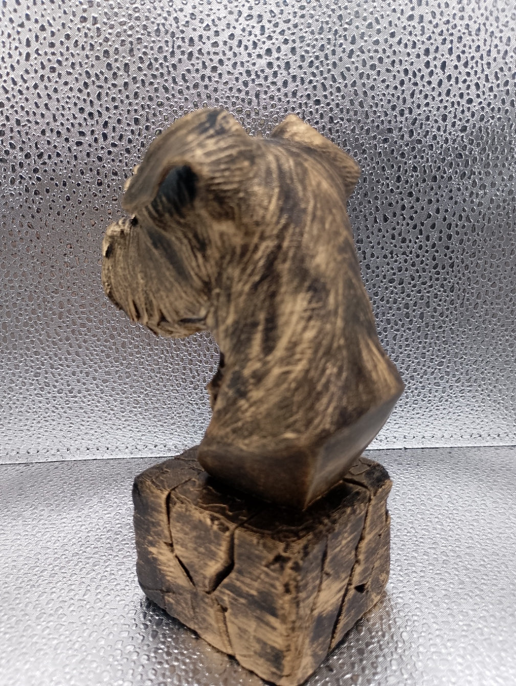 Affenpinscher Bust