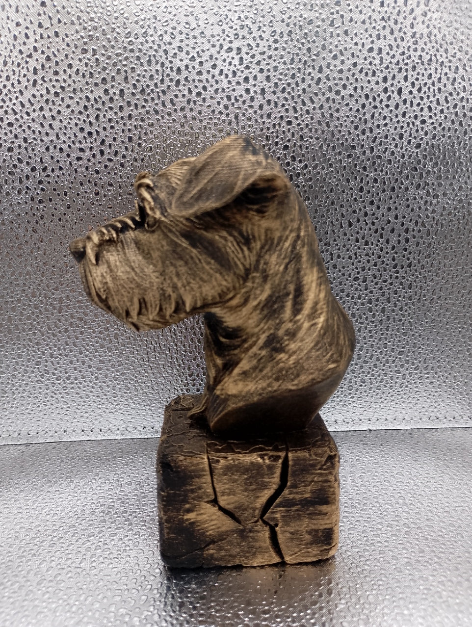 Affenpinscher Bust