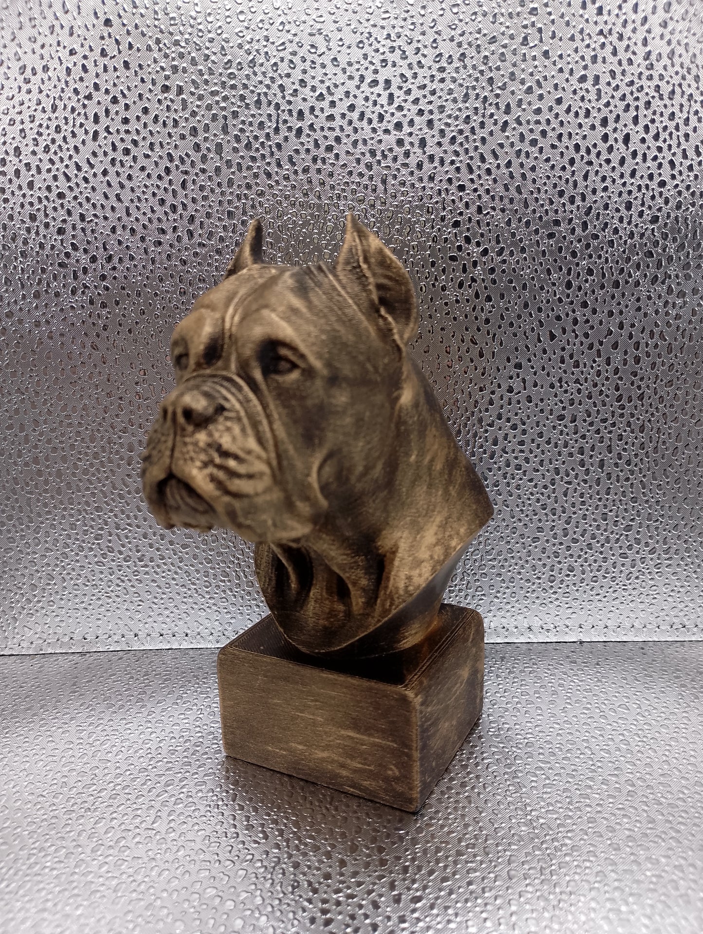 Cane Corso (Cropped Ears) Bust