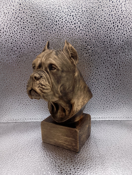 Cane Corso (Cropped Ears) Bust