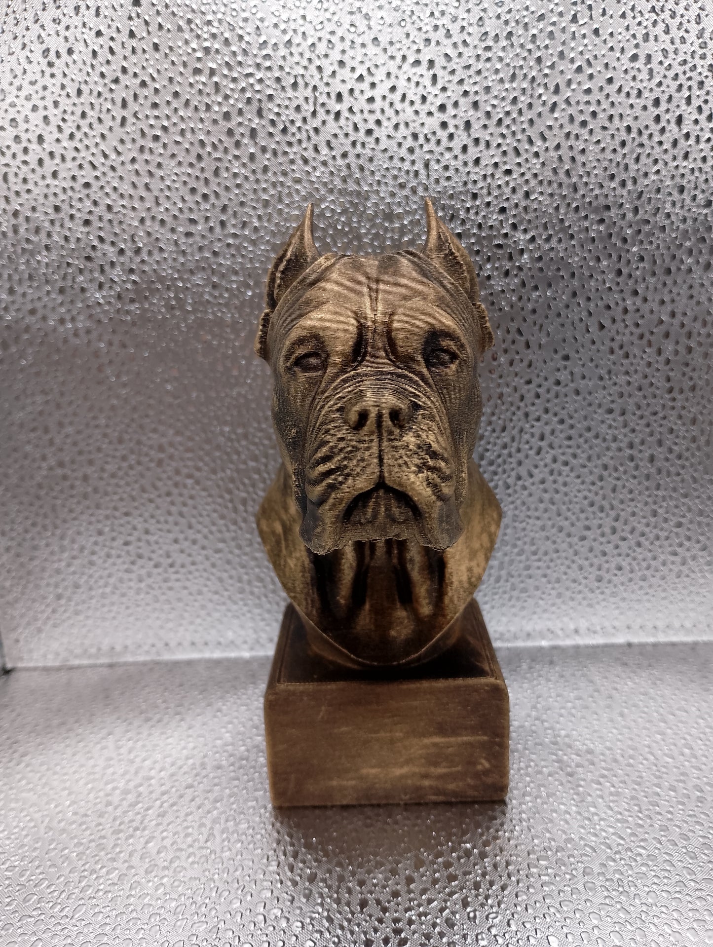 Cane Corso (Cropped Ears) Bust