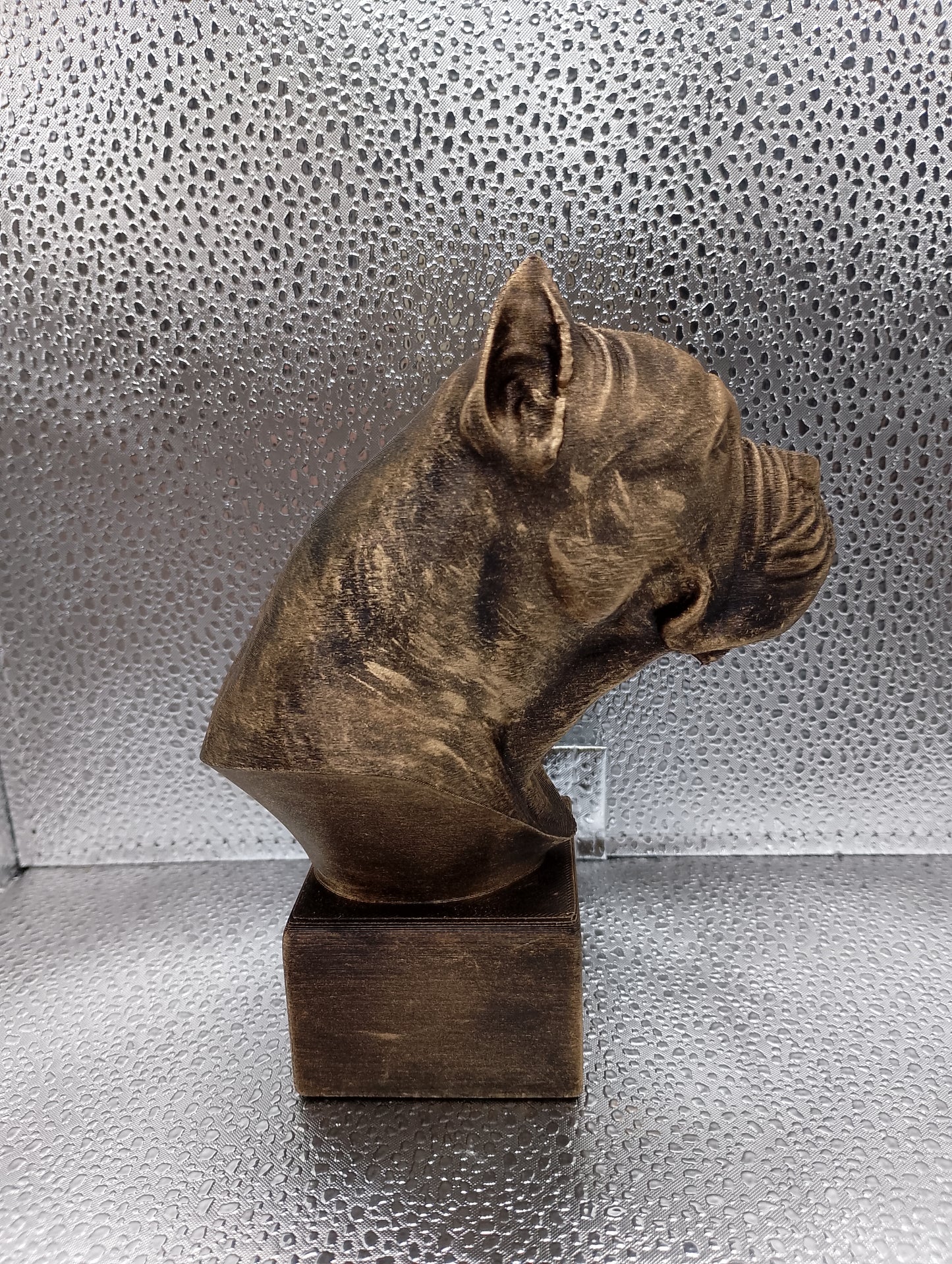 Cane Corso (Cropped Ears) Bust