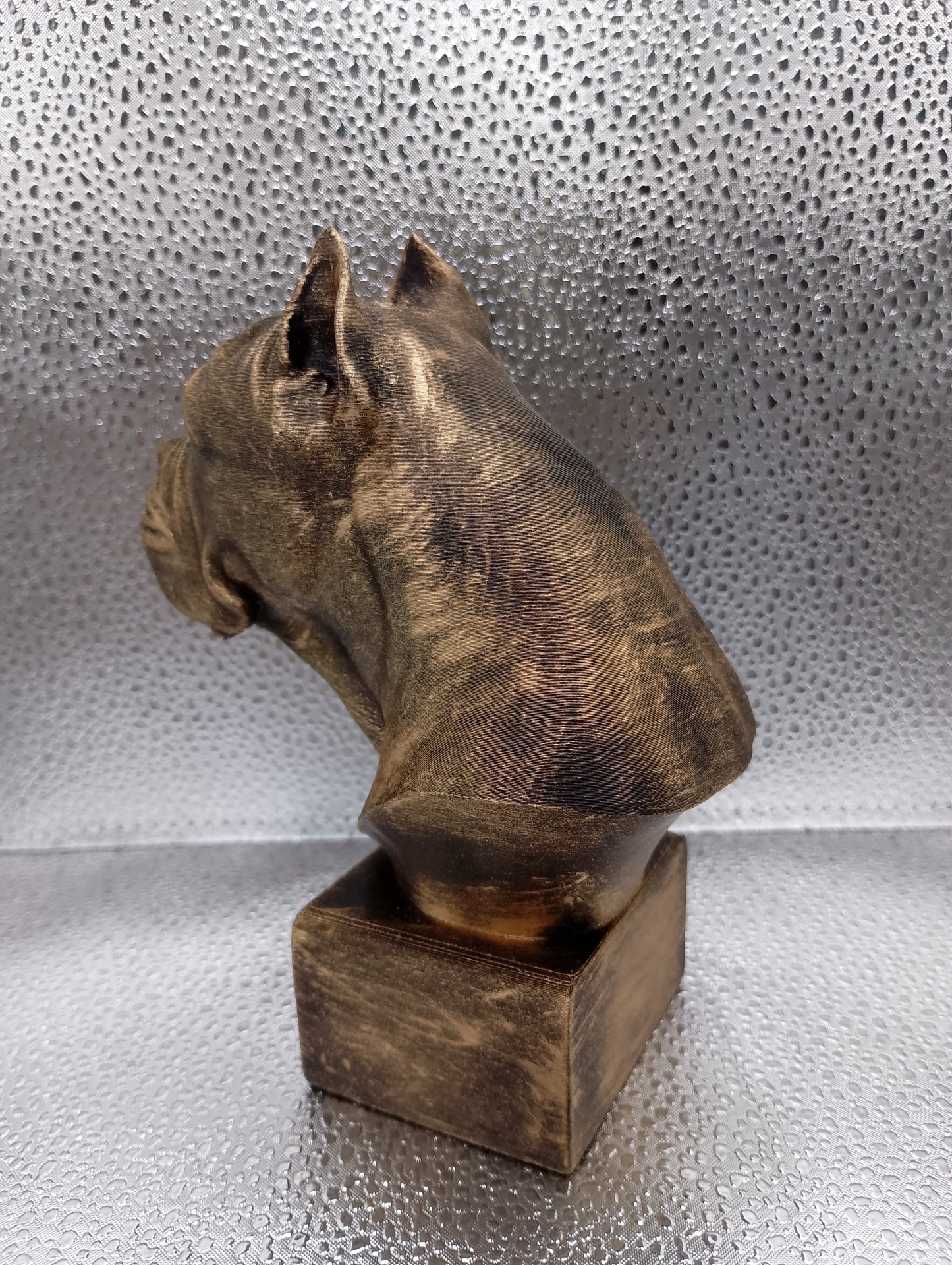 Cane Corso (Cropped Ears) Bust