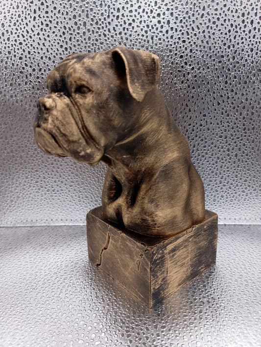 Boxer Bust