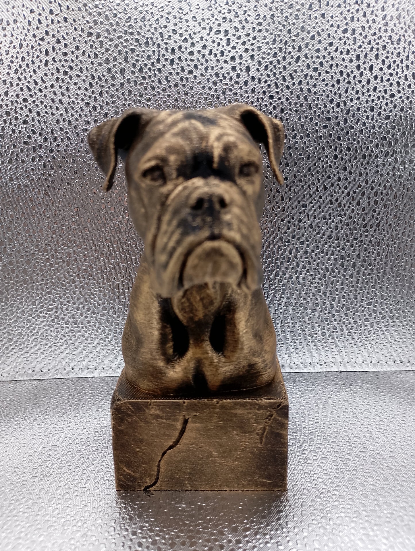 Boxer Bust