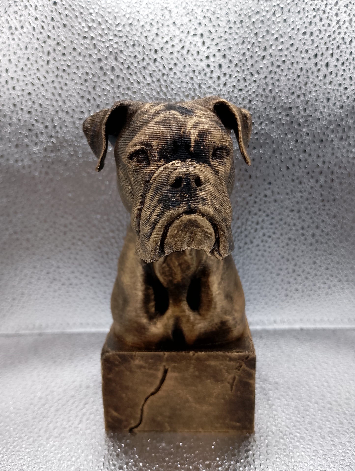 Boxer Bust