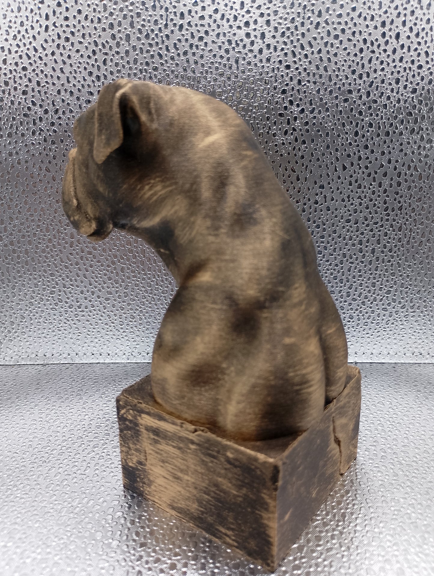 Boxer Bust