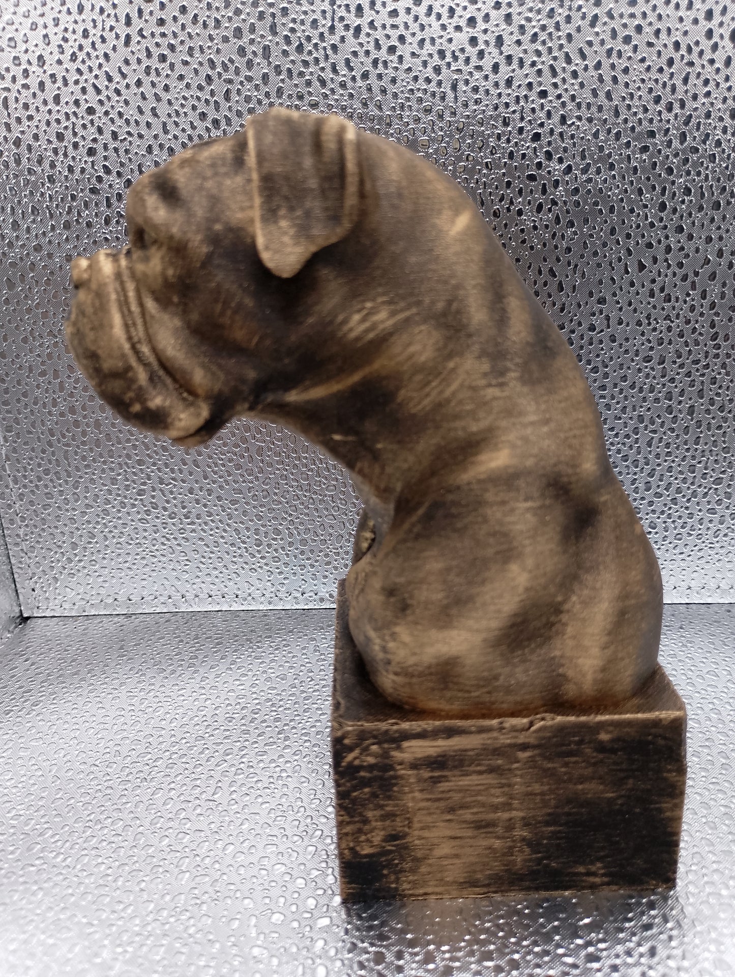 Boxer Bust
