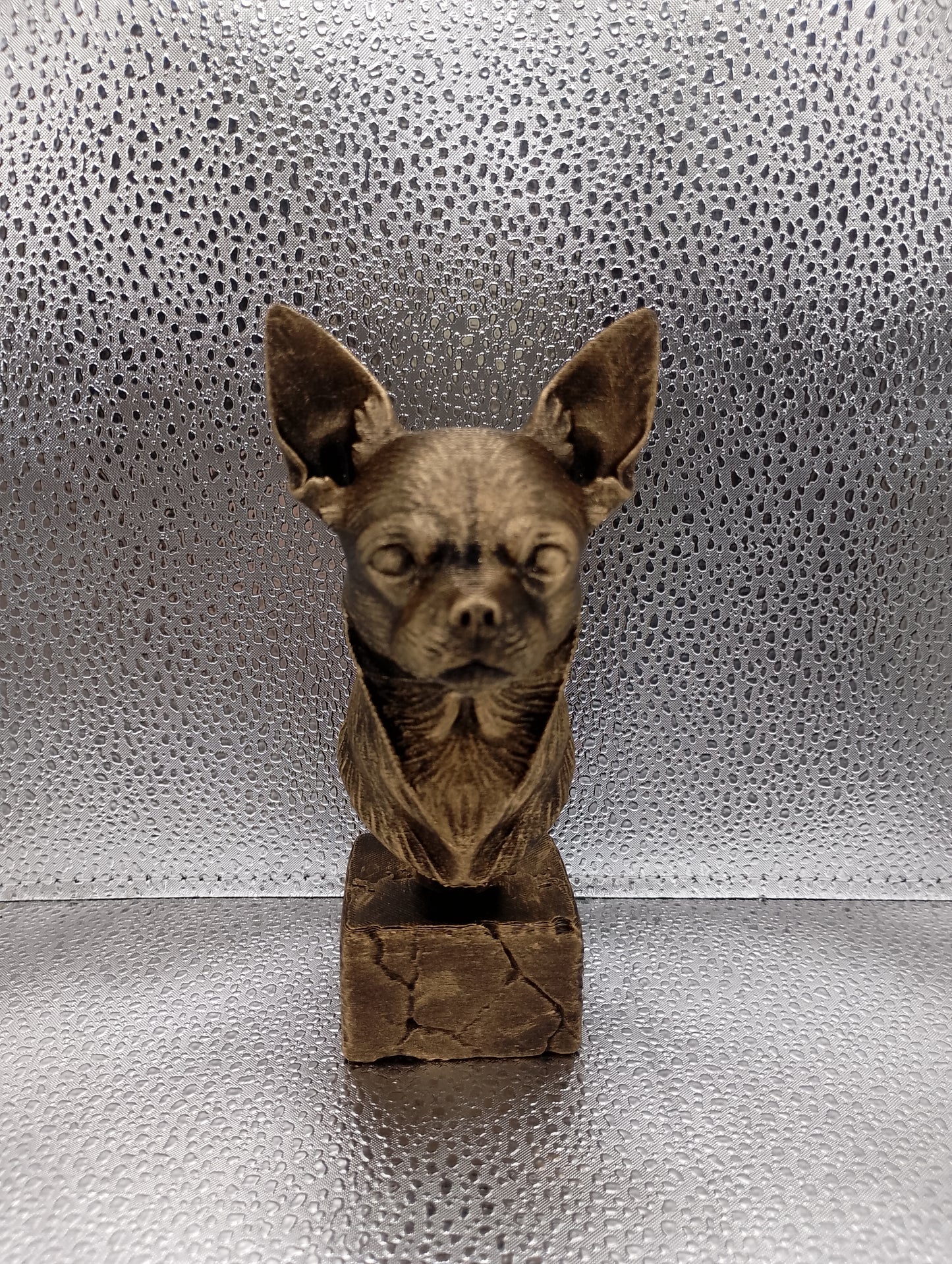 Chihuahua Bust