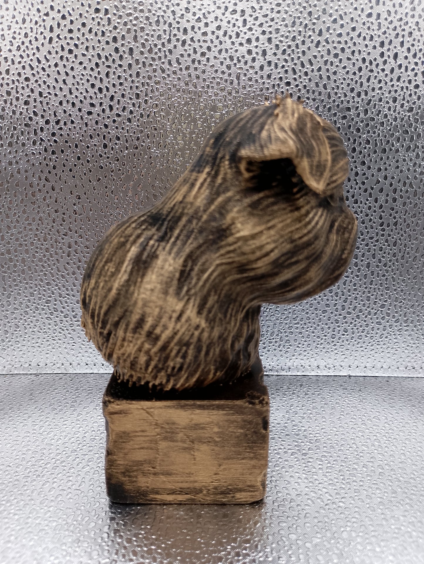 Brussels Griffon Bust
