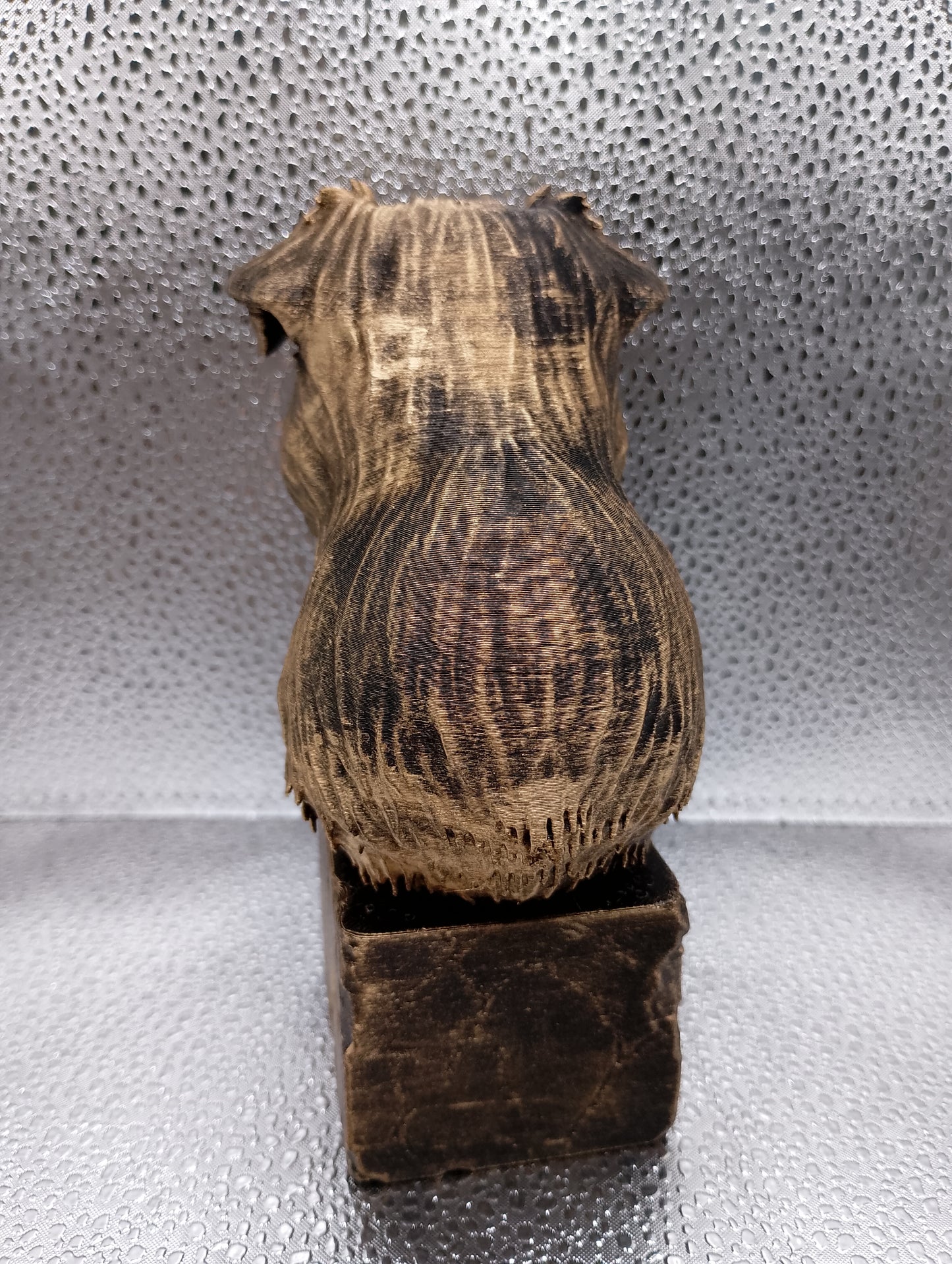 Brussels Griffon Bust