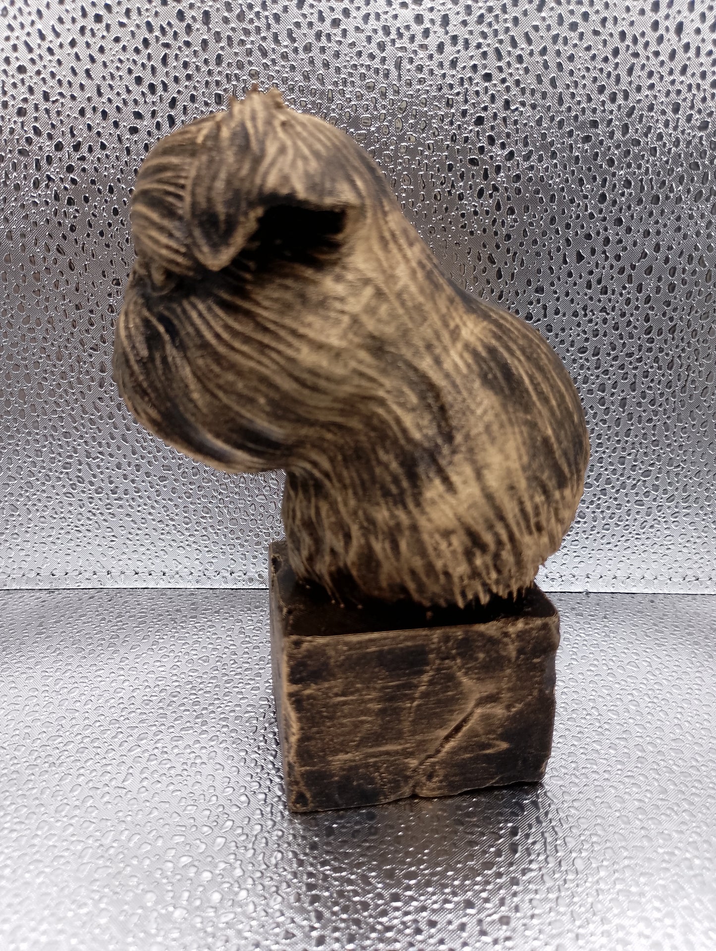 Brussels Griffon Bust