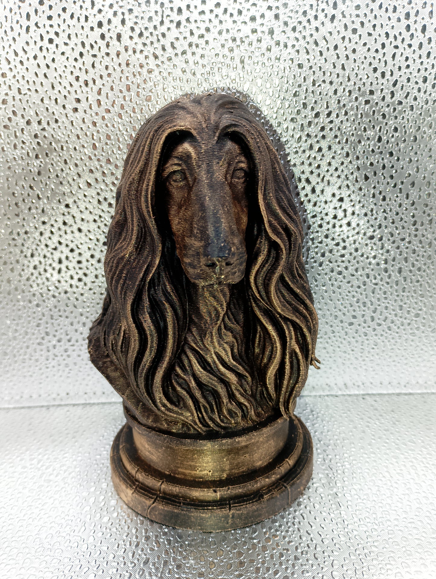 Afghan Hound Bust