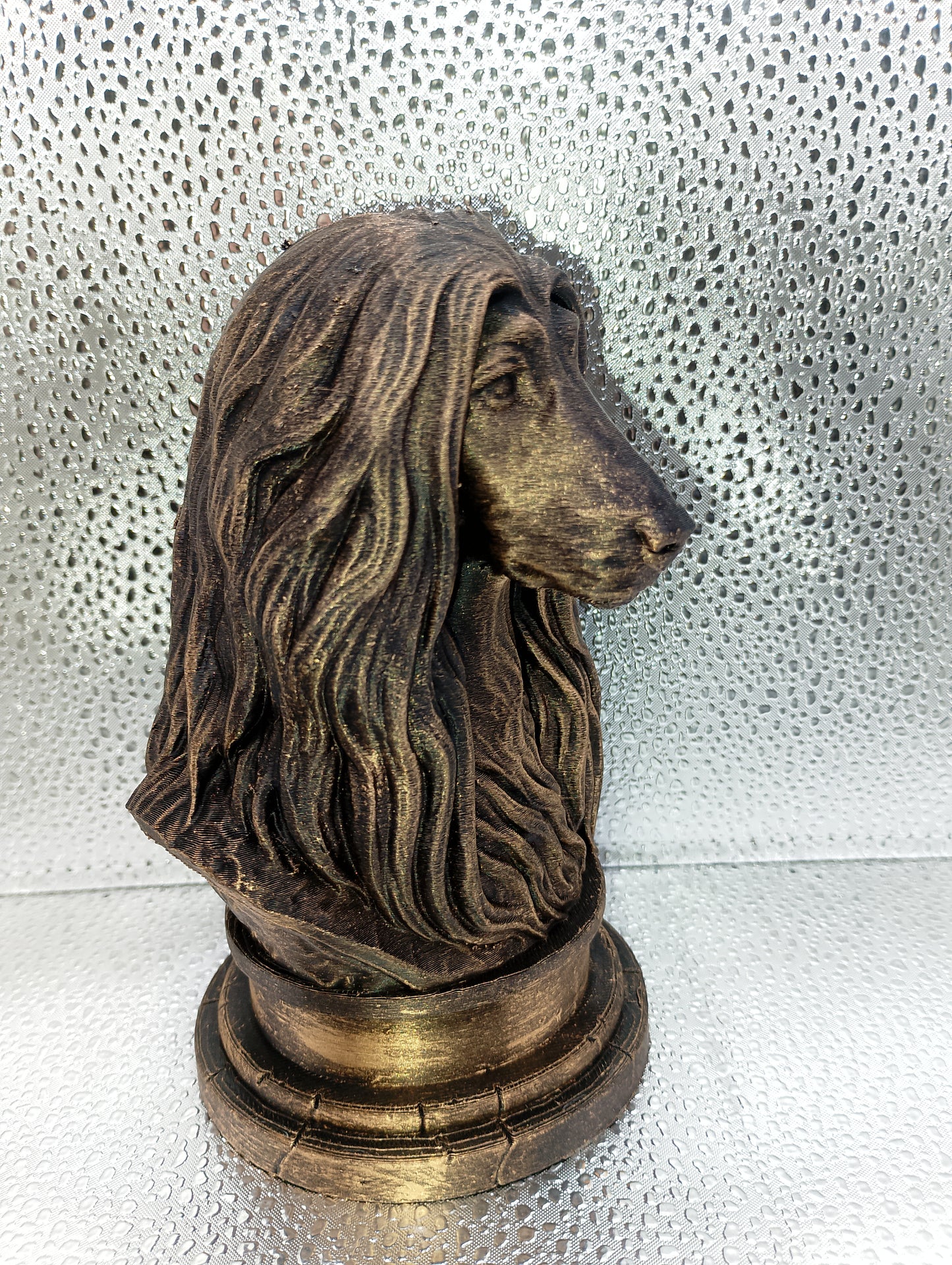 Afghan Hound Bust