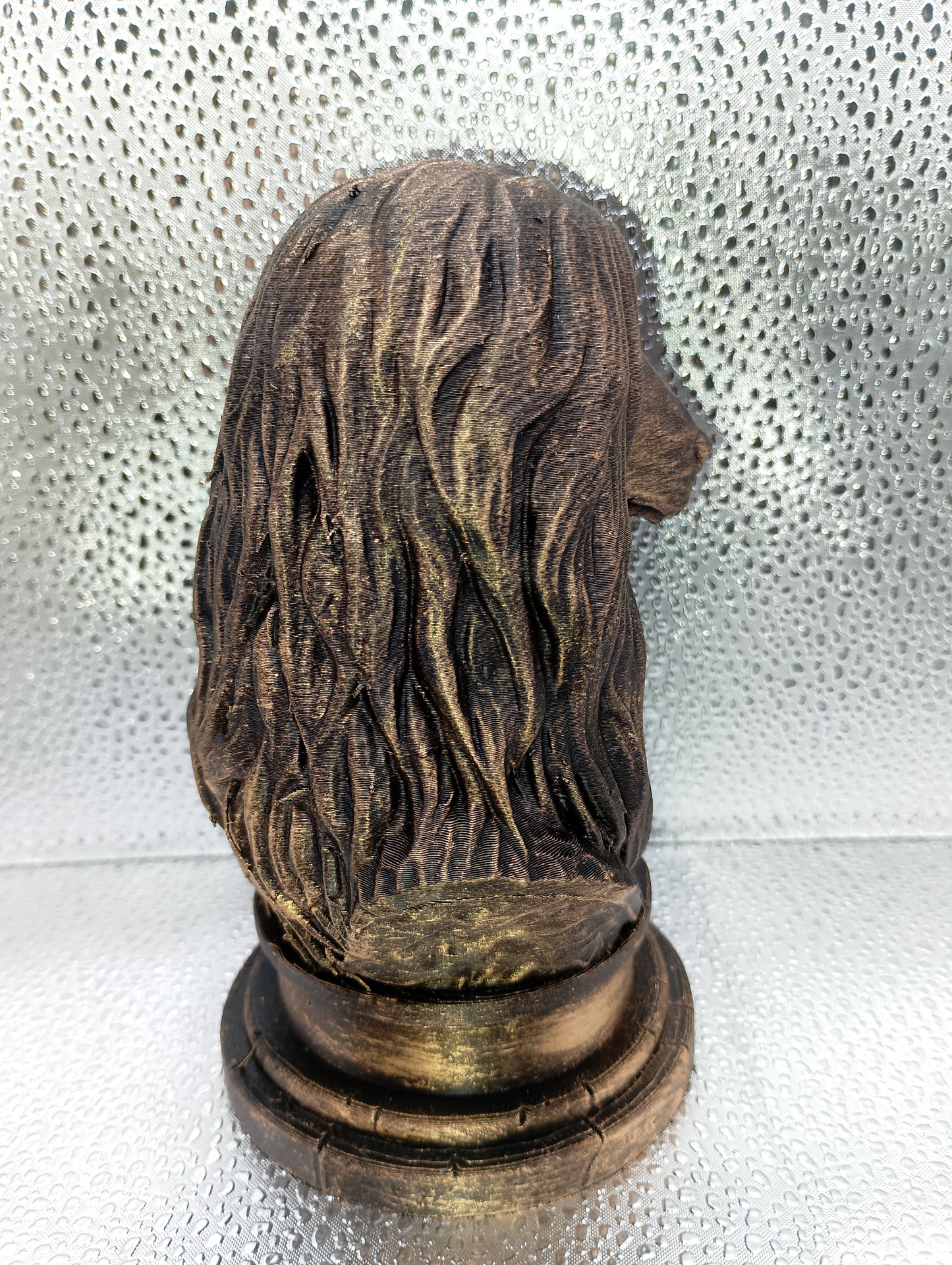 Afghan Hound Bust