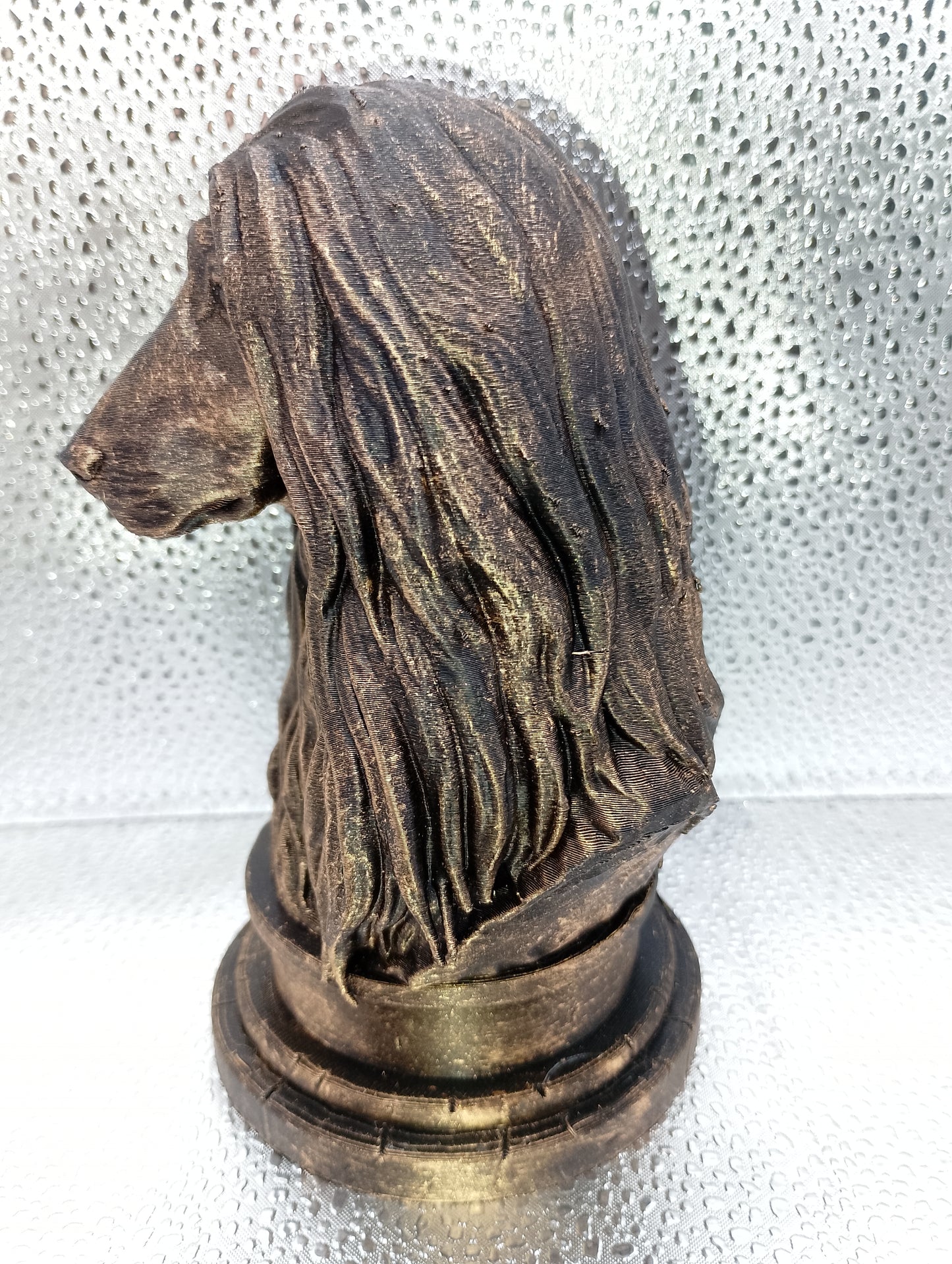 Afghan Hound Bust