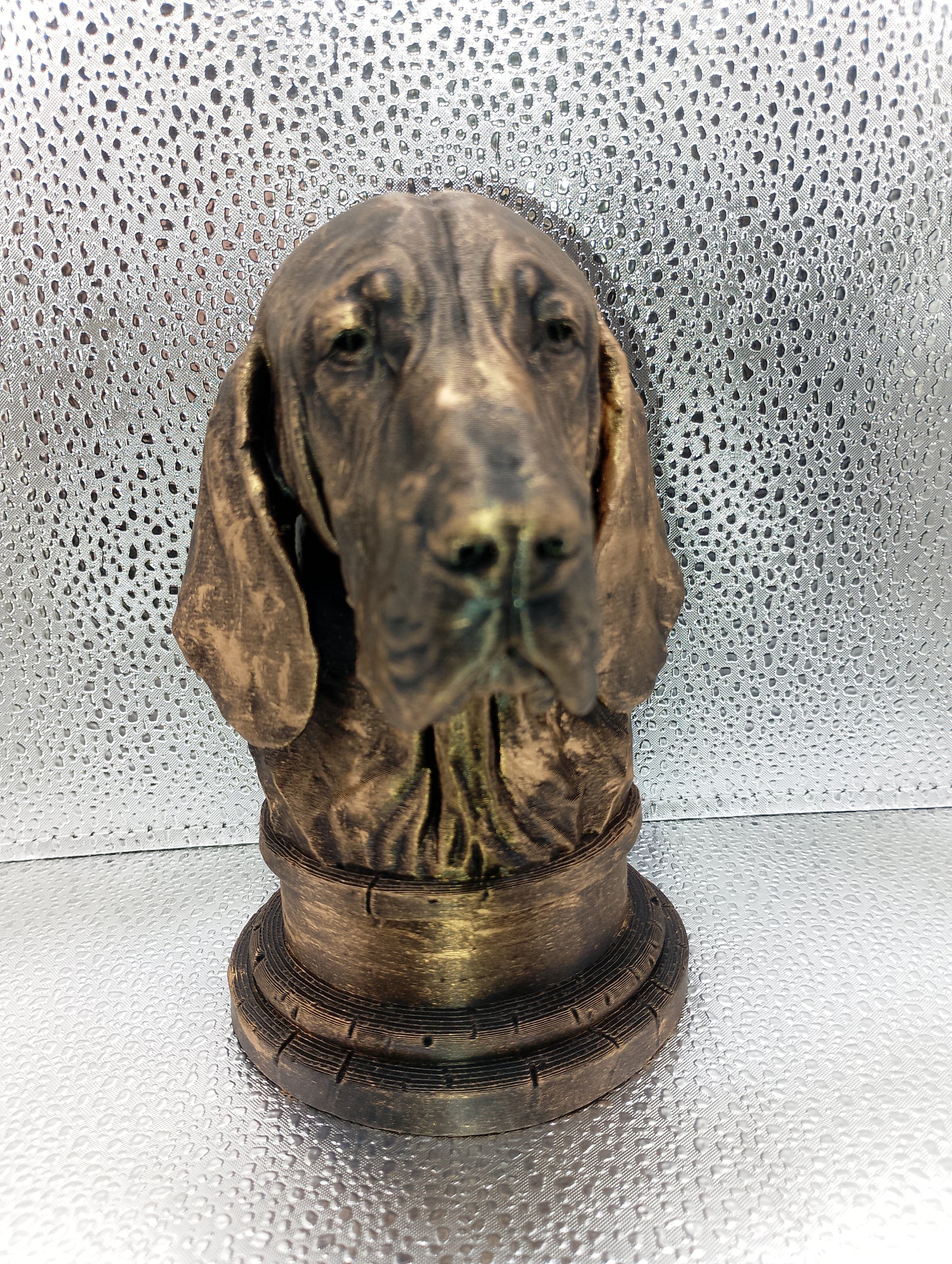 Bracco Italiano Bust