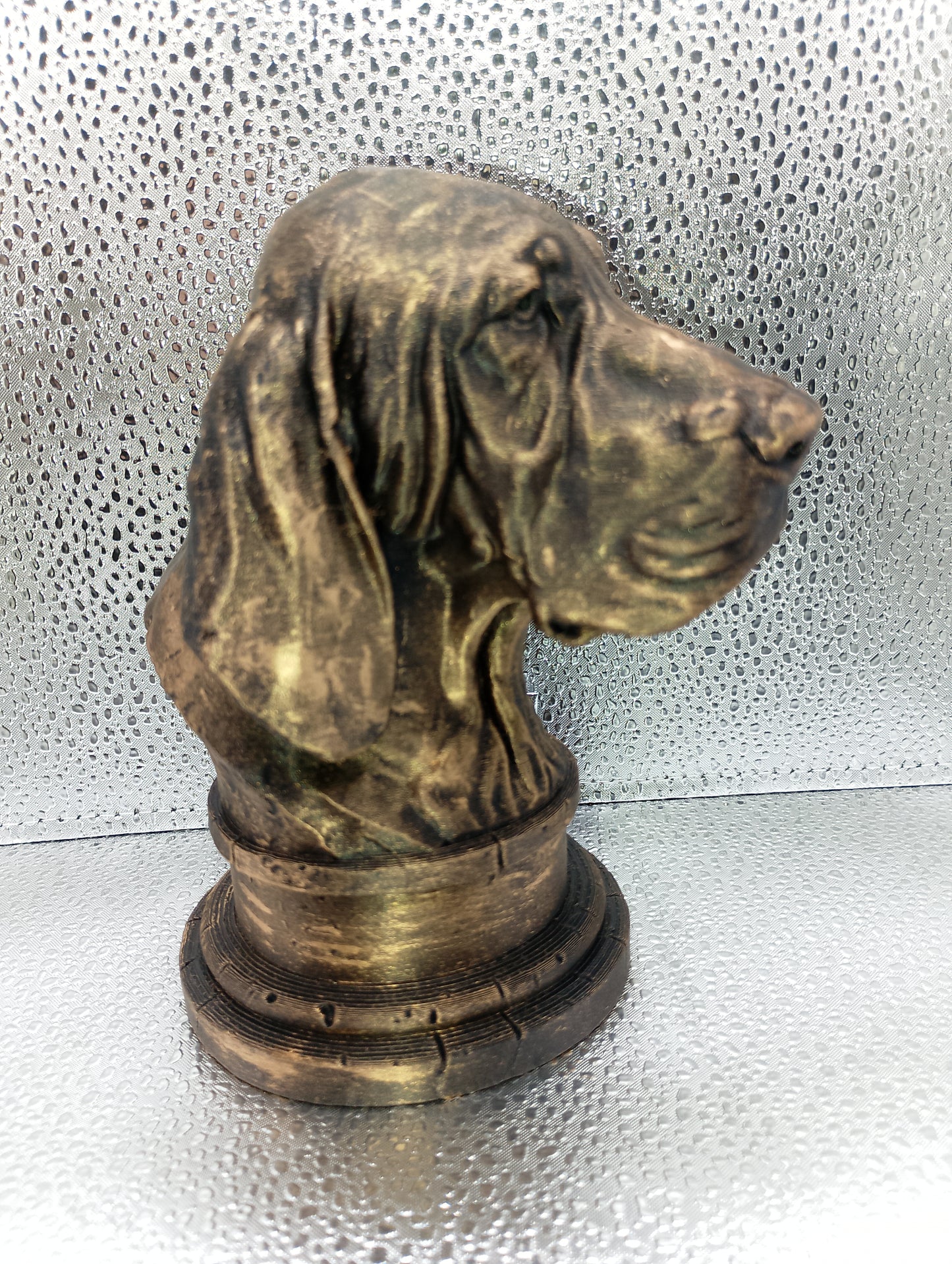 Bracco Italiano Bust