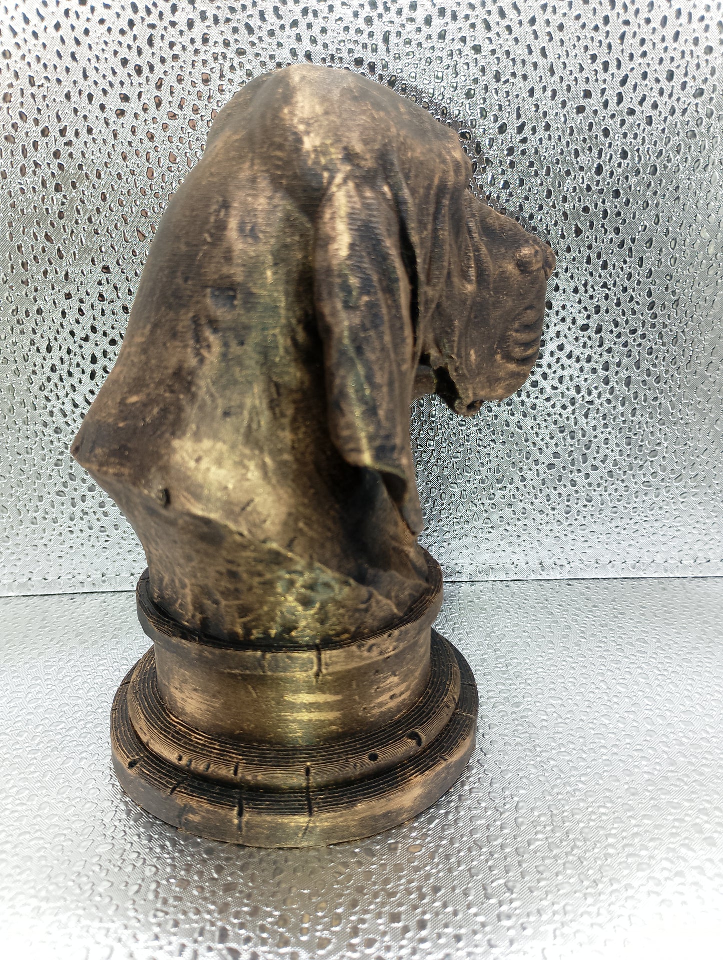 Bracco Italiano Bust