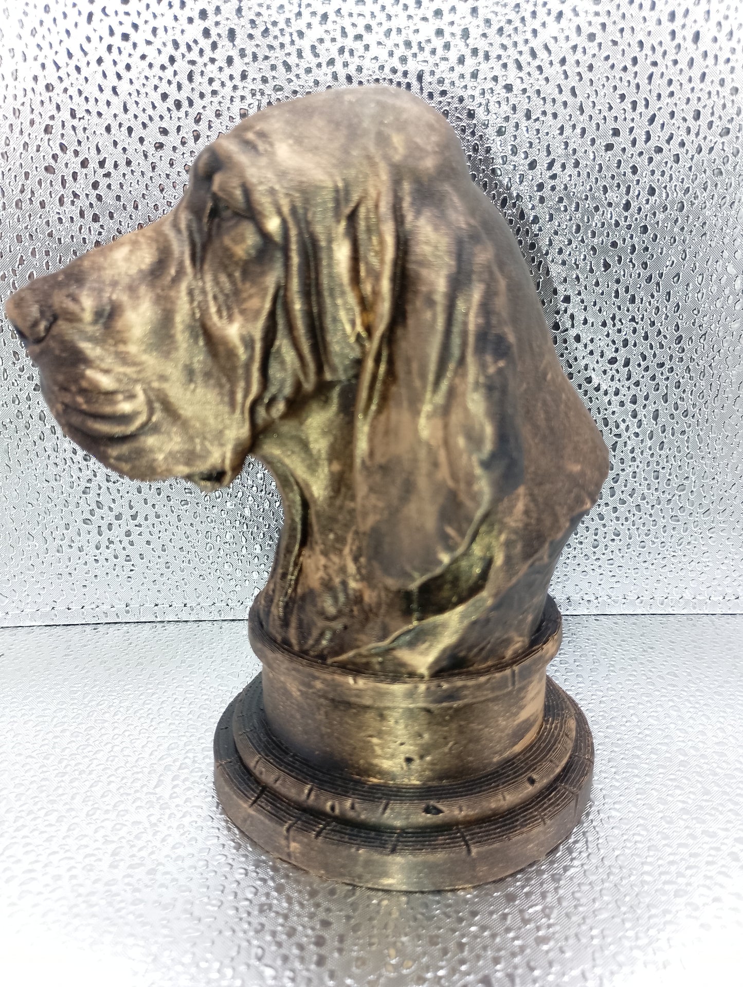 Bracco Italiano Bust