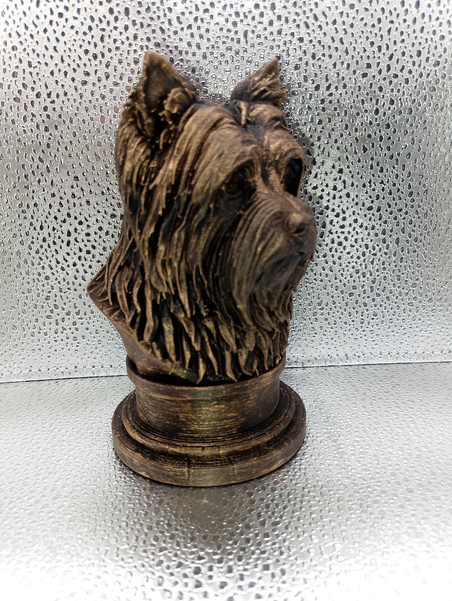 Biewer Terrier Bust