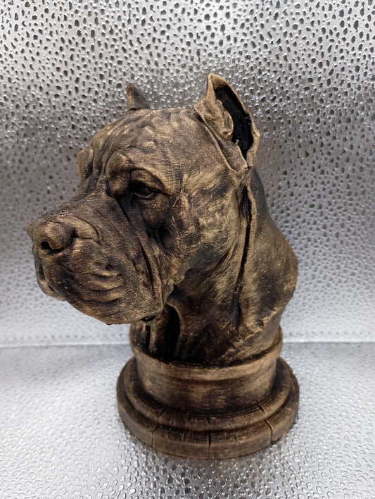 Presa Canario Bust