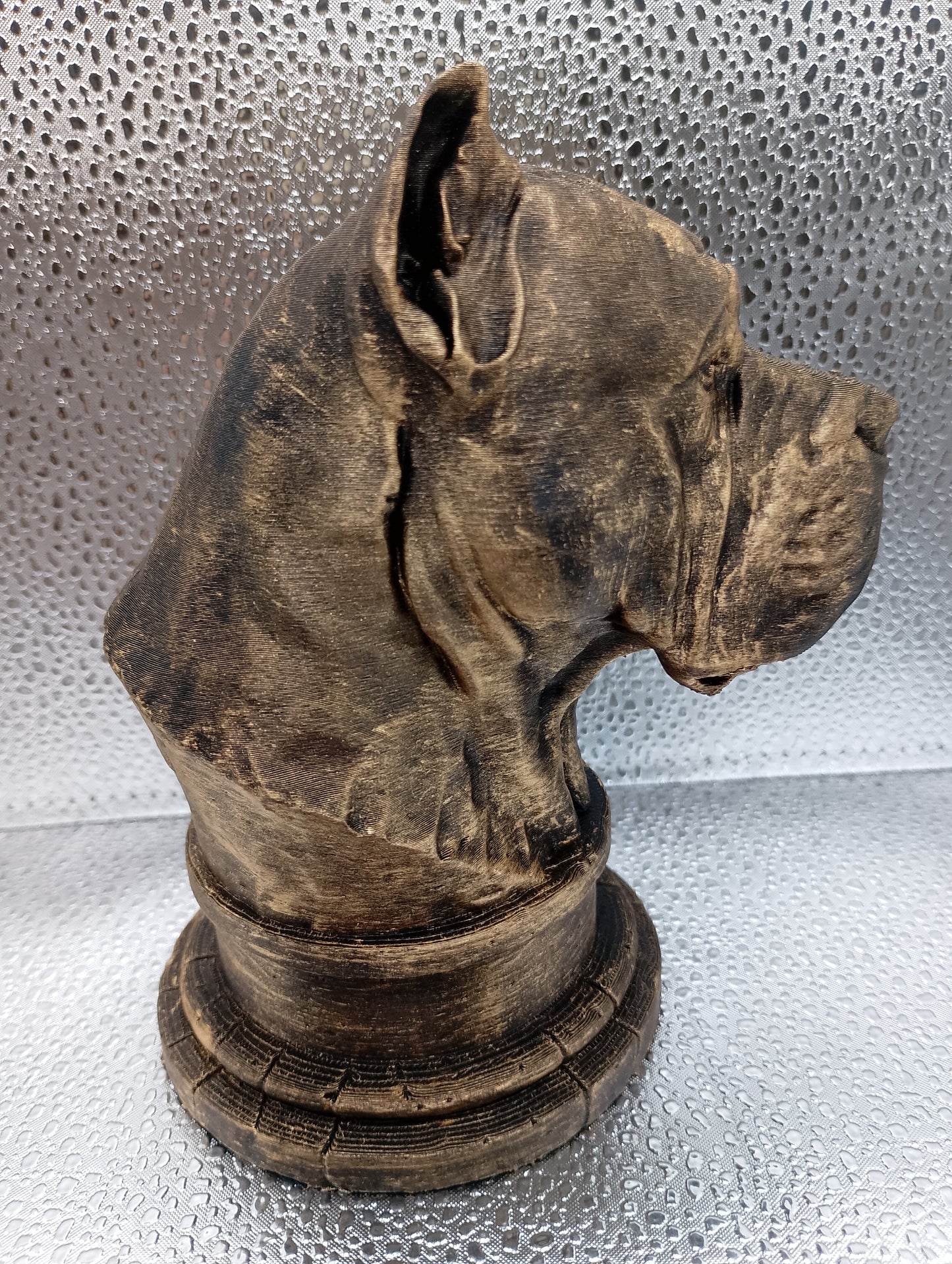 Presa Canario Bust