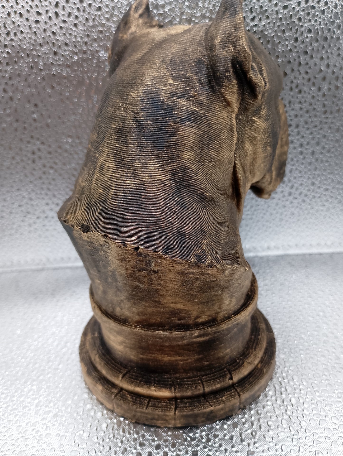 Presa Canario Bust