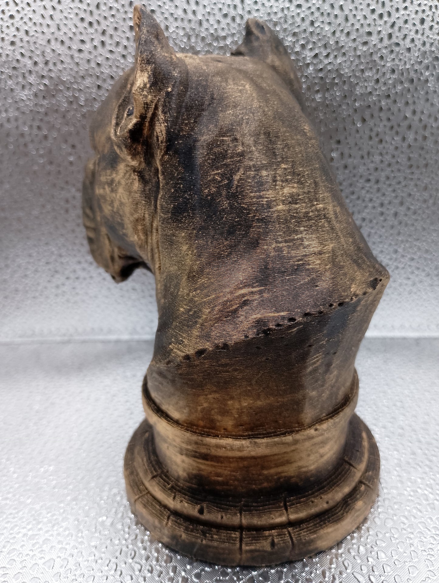 Presa Canario Bust