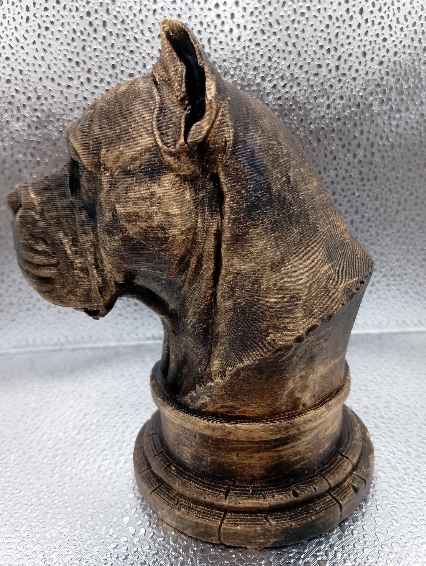 Presa Canario Bust