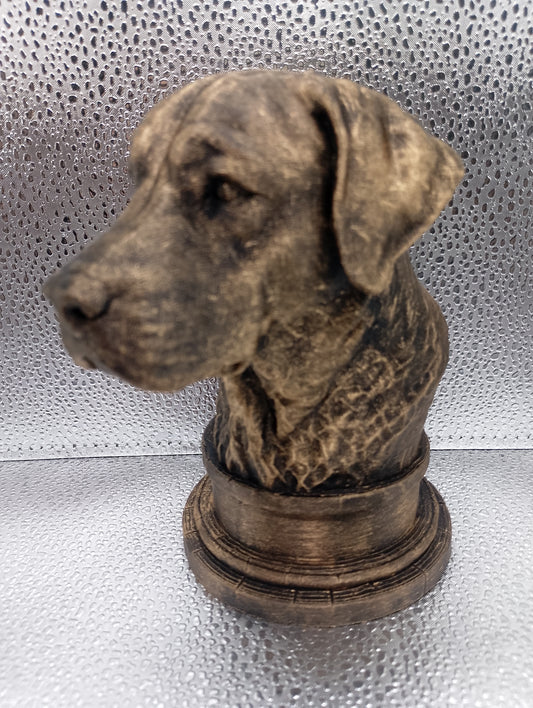 Labrador Retriever Bust