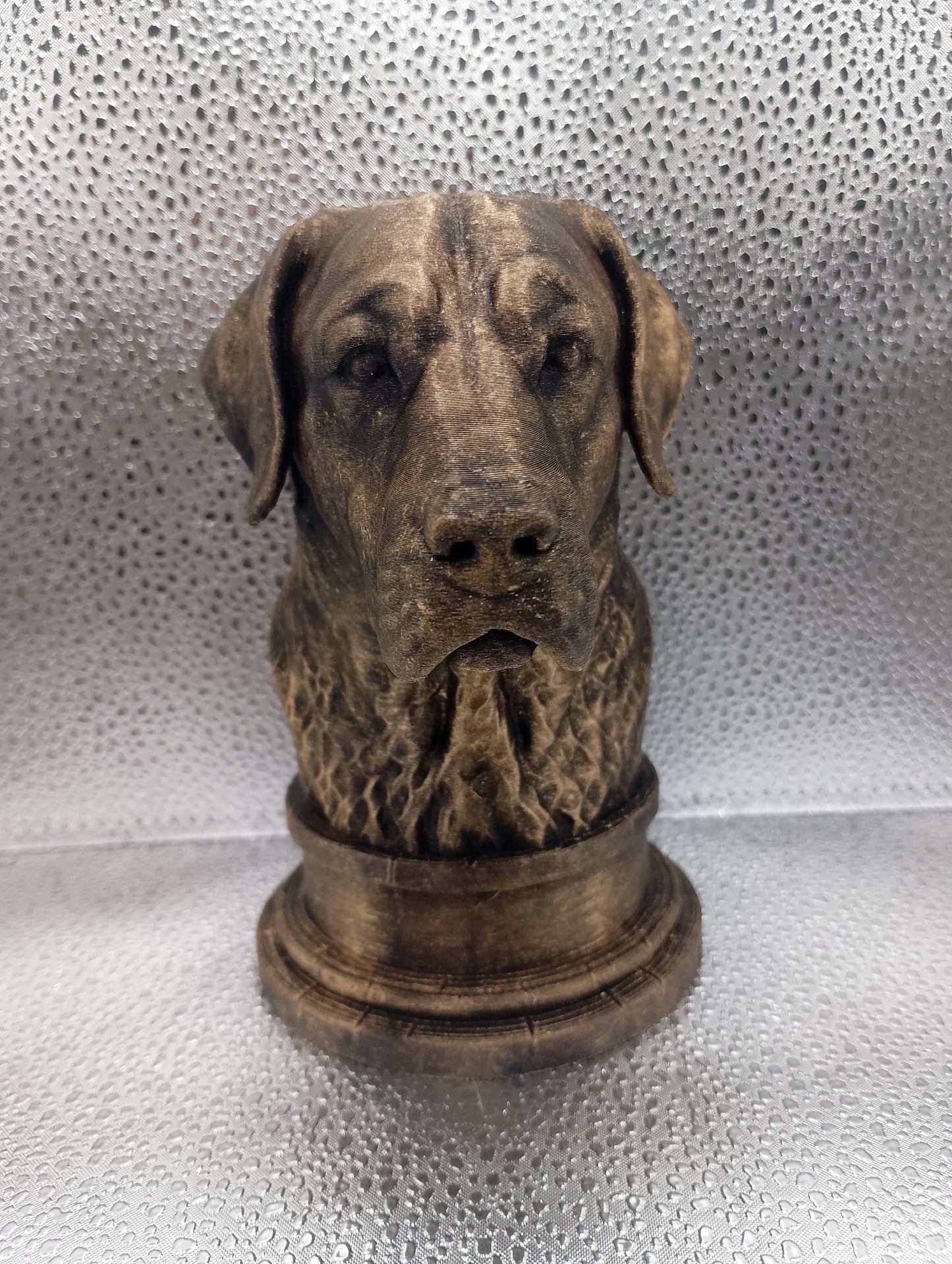 Labrador Retriever Bust