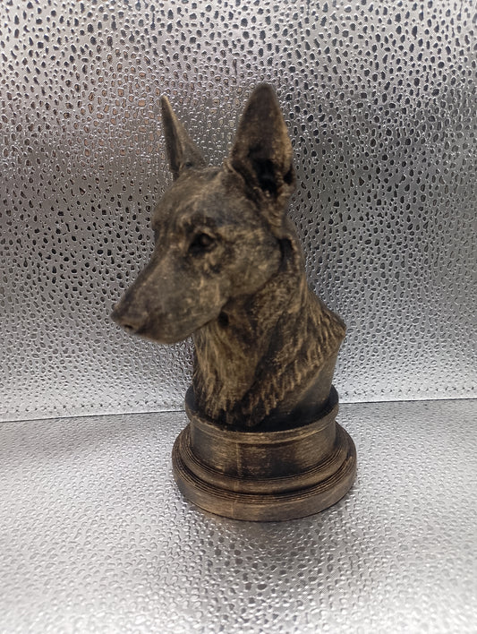 Belgian Malinois Bust