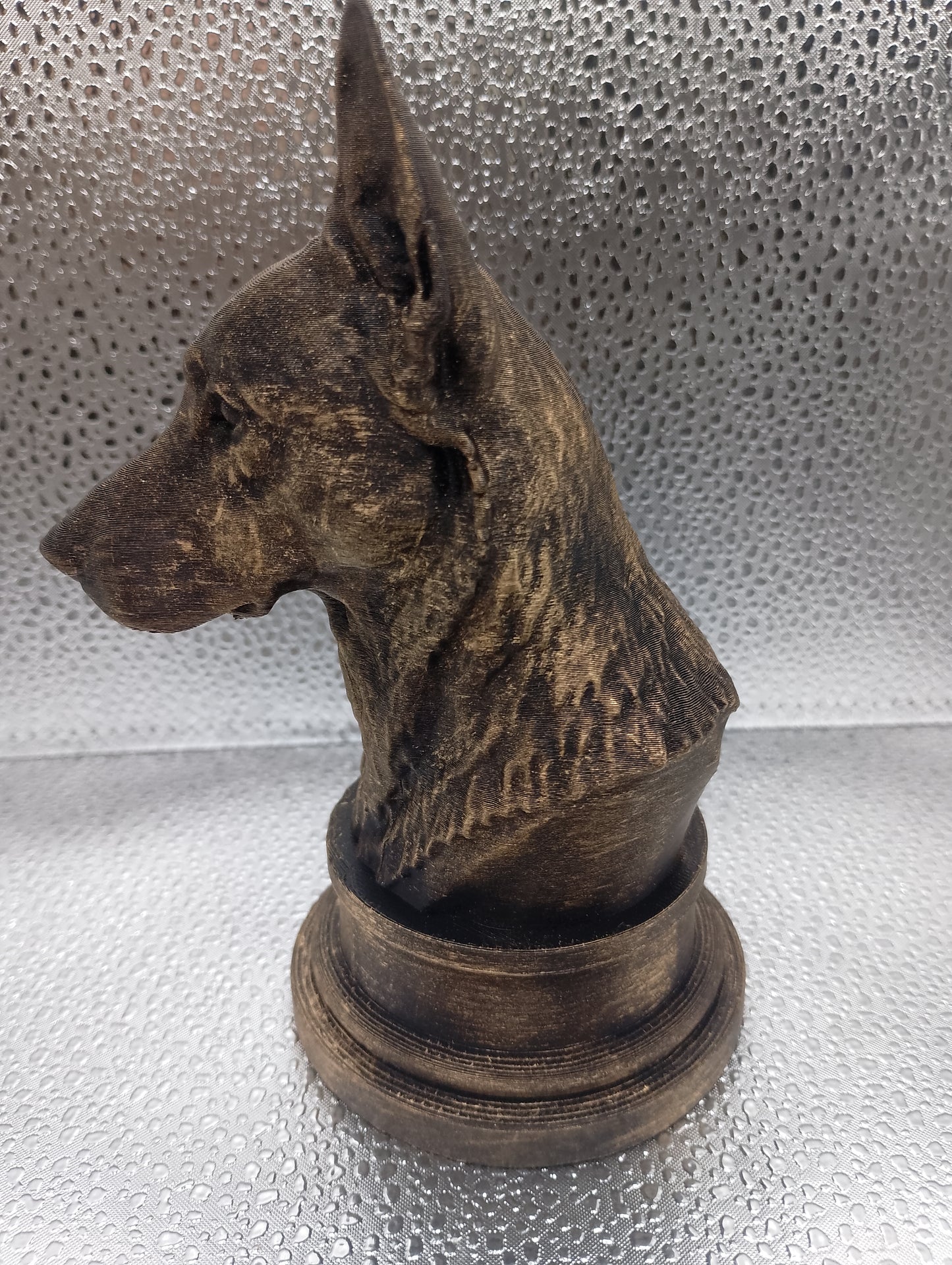 Belgian Malinois Bust