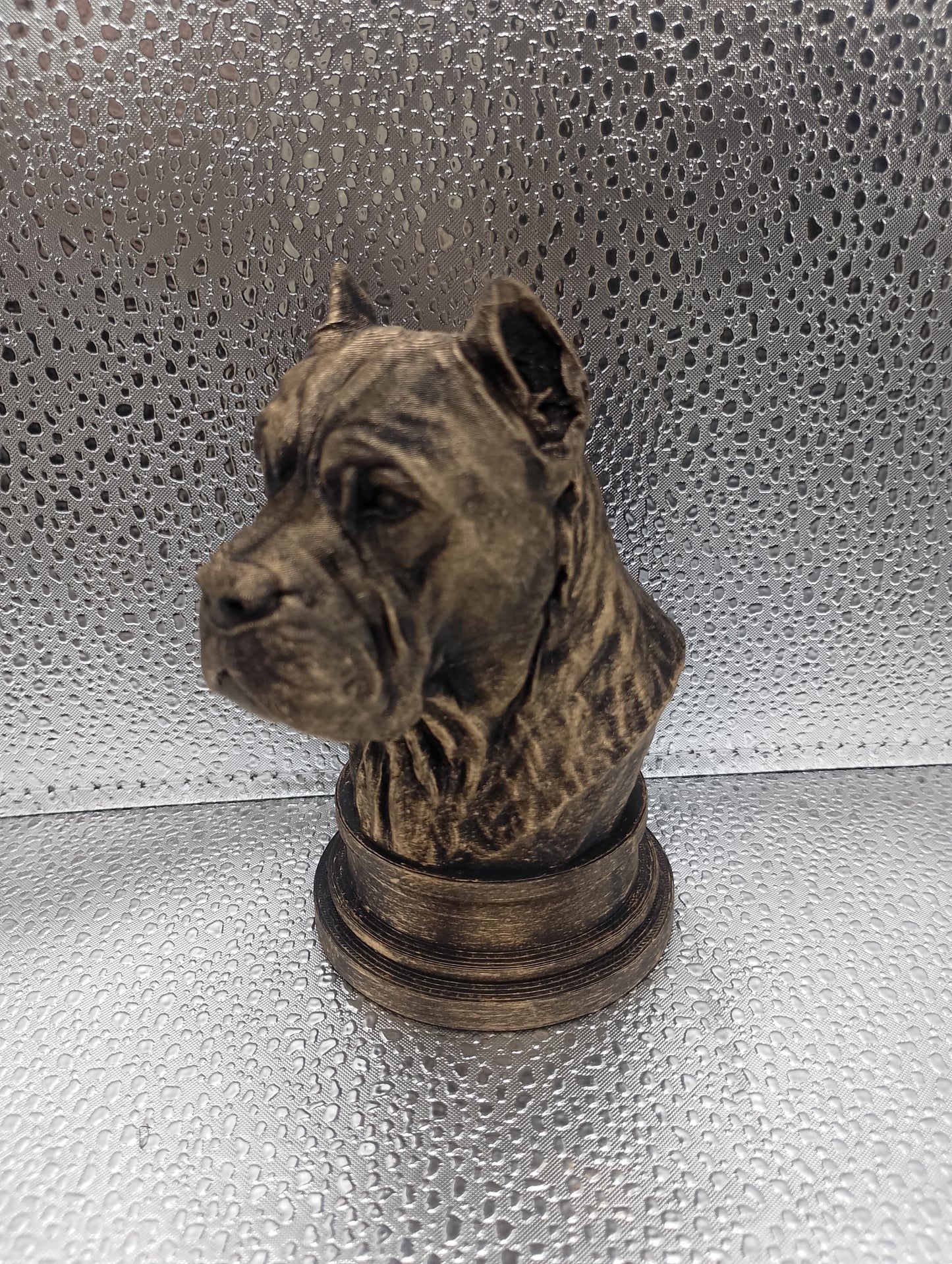 Cane Corso Bust