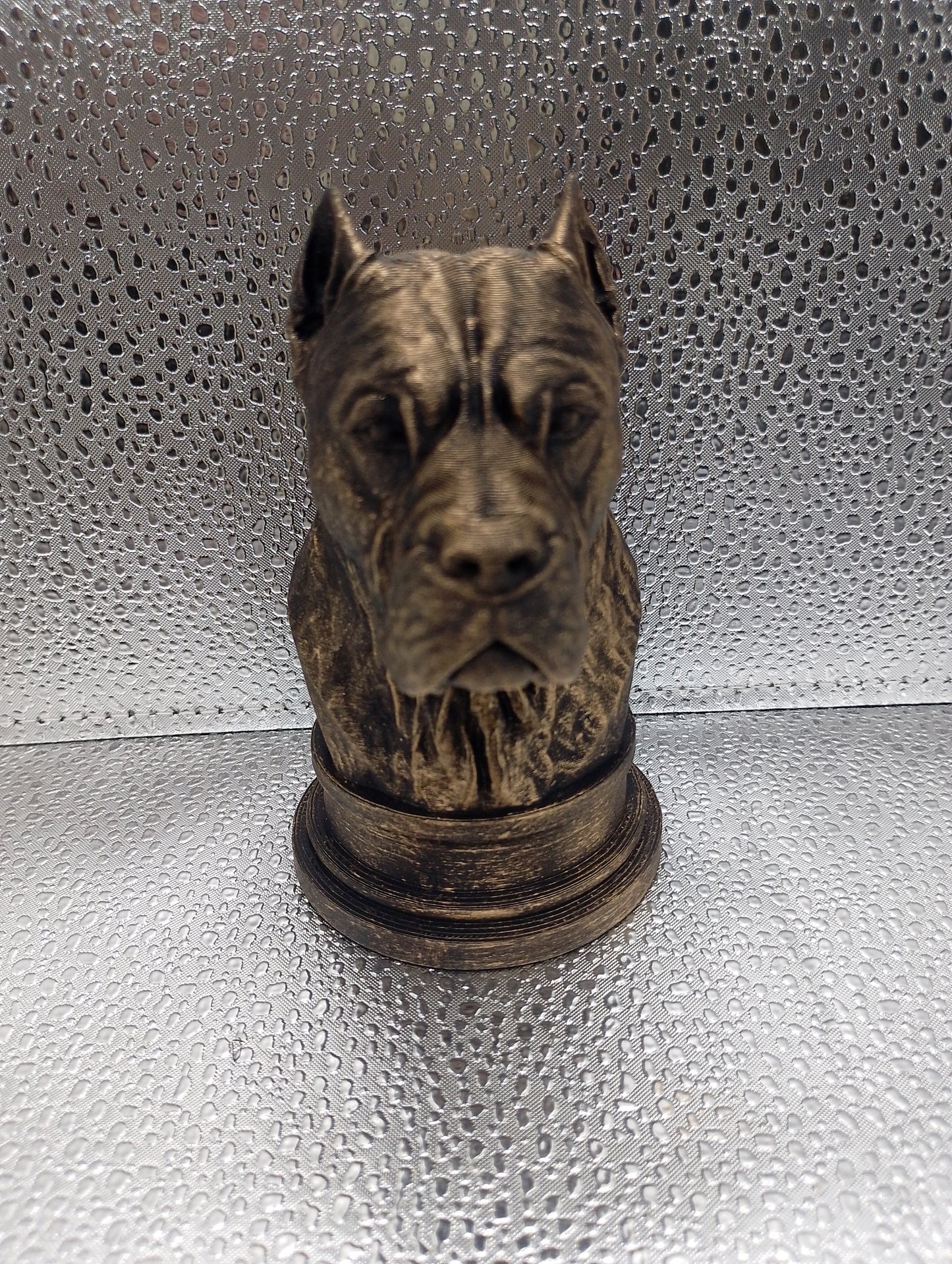 Cane Corso Bust