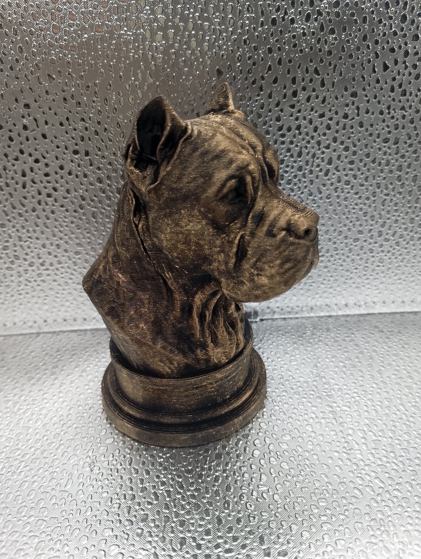 Cane Corso Bust