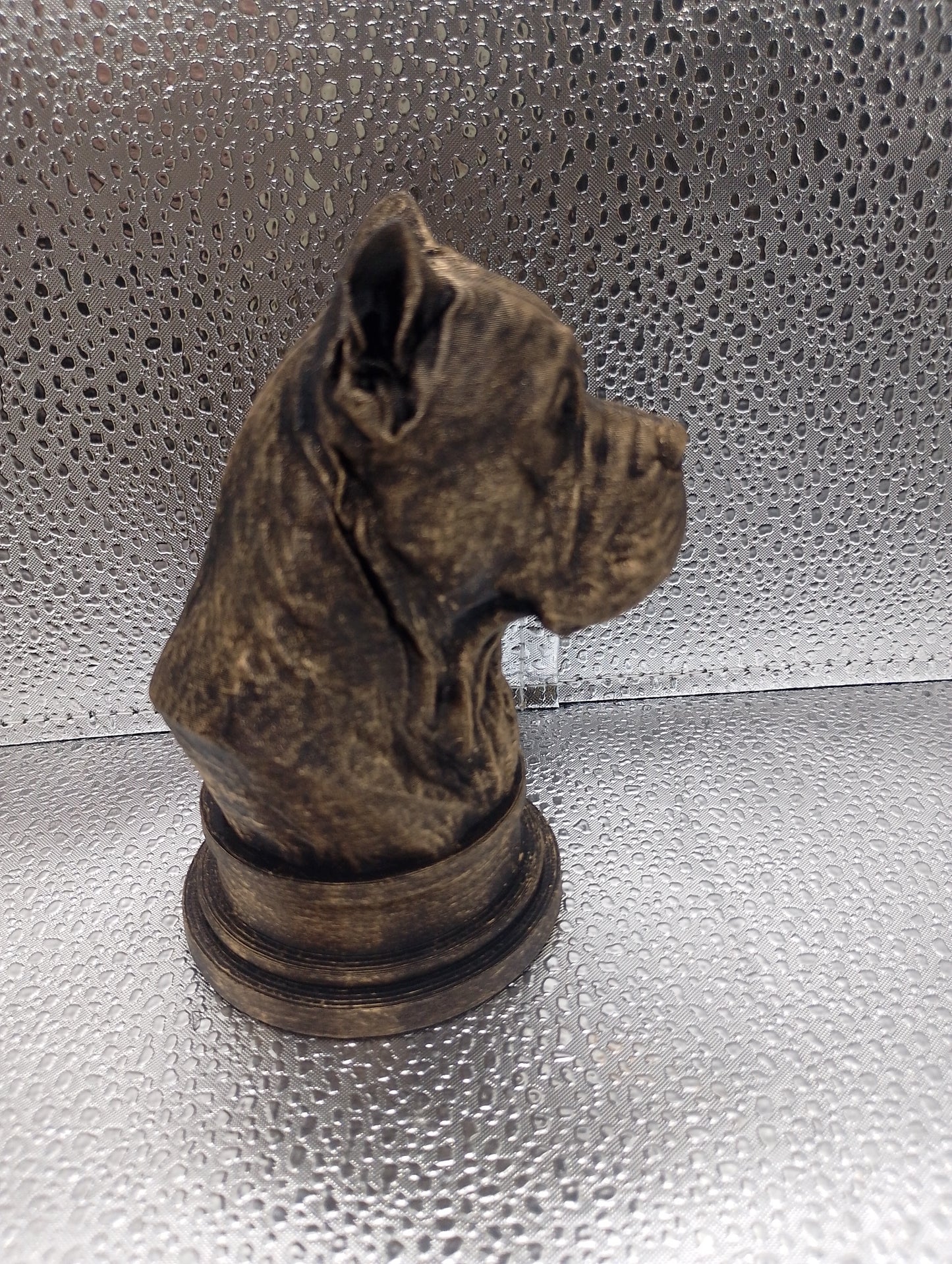 Cane Corso Bust
