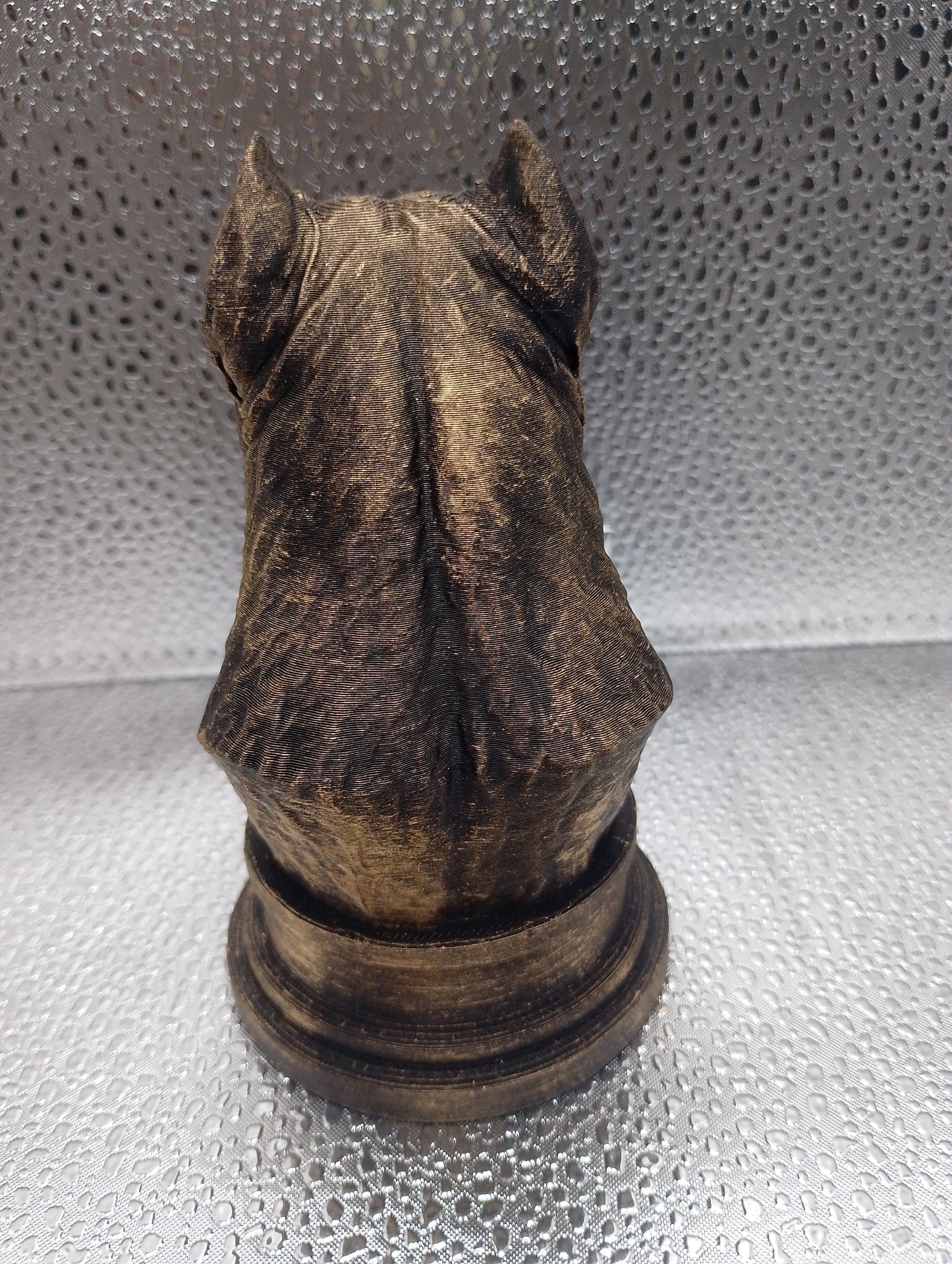 Cane Corso Bust