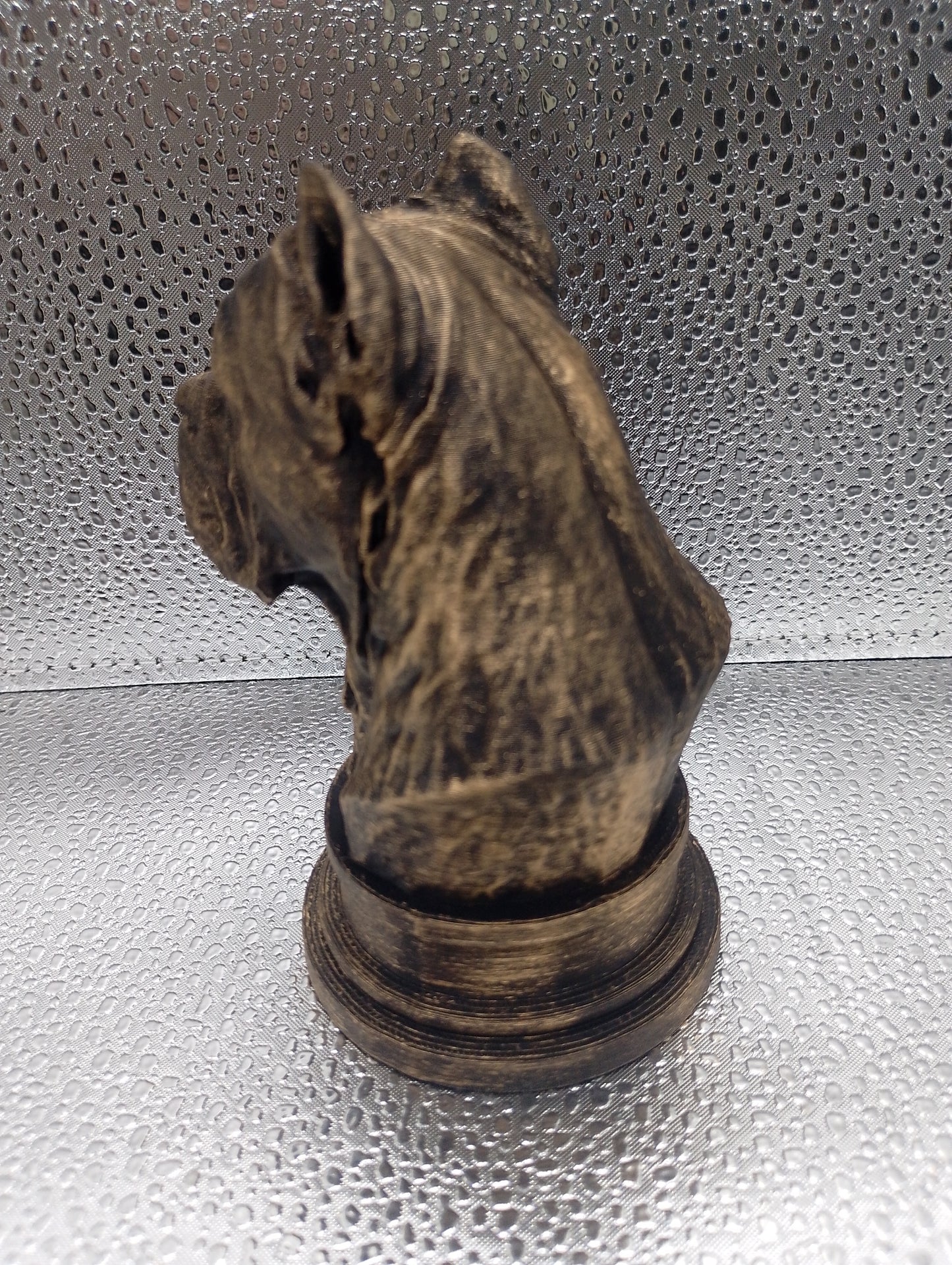 Cane Corso Bust