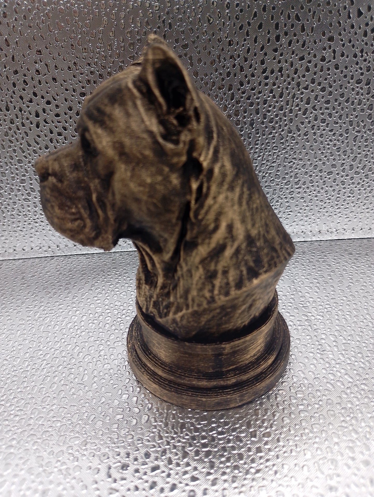 Cane Corso Bust