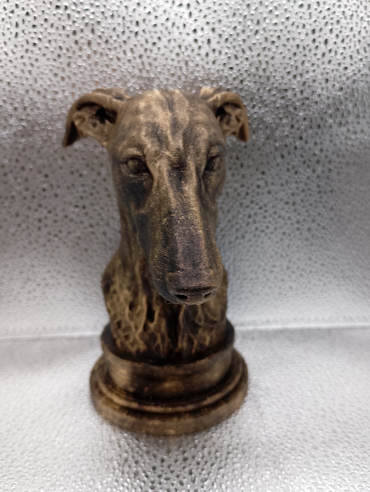 Greyhound Bust